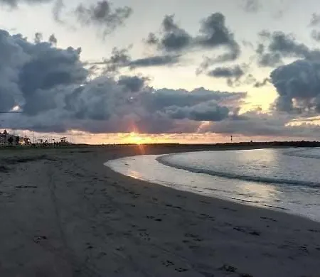 Marbella 47